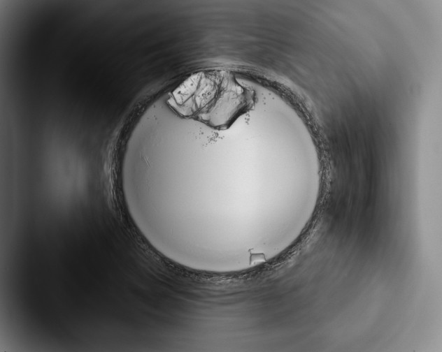 X0000088061314200705110906