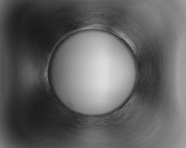 X0000088061316200705110906