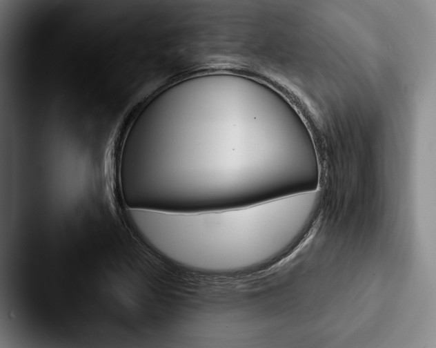X0000088061317200705110906