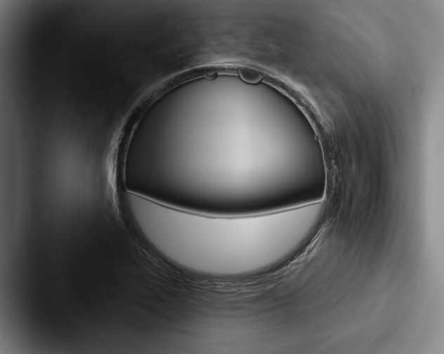 X0000088061319200705110906