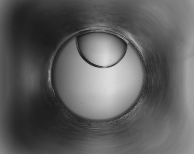 X0000088061320200705110906