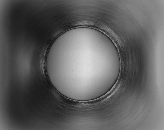 X0000088061321200705110906