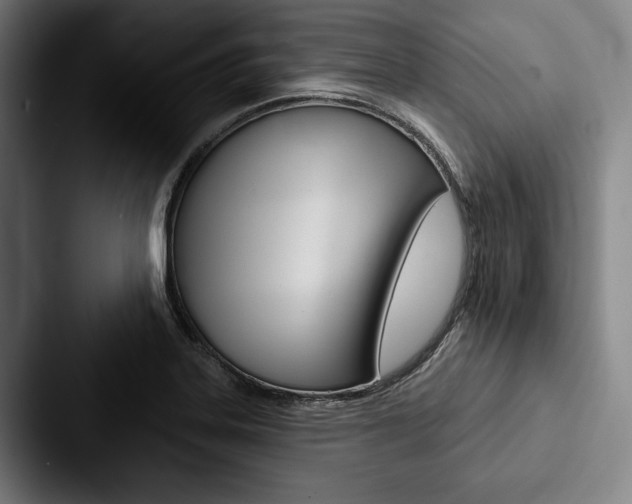 X0000088061323200705110906