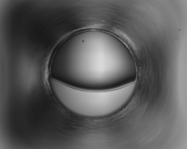 X0000088061324200705110906