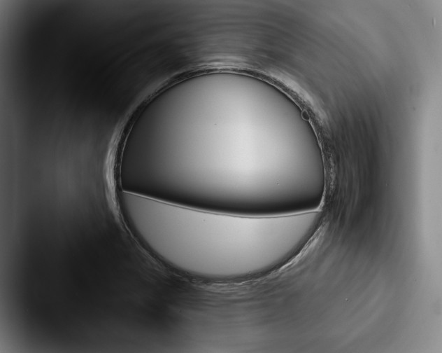 X0000088061325200705110906
