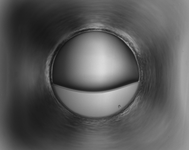 X0000088061326200705110906
