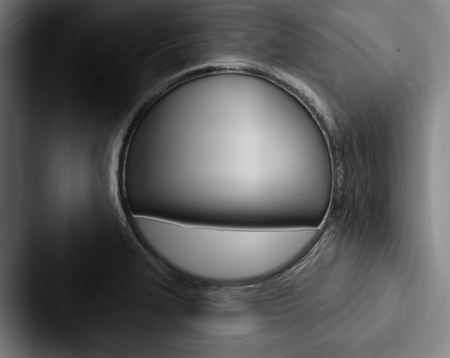 X0000088061327200705110906