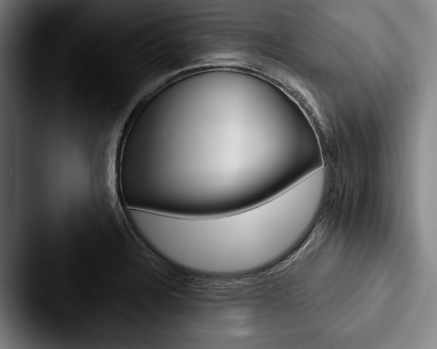 X0000088061328200705110906
