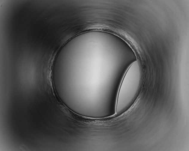 X0000088061329200705110906