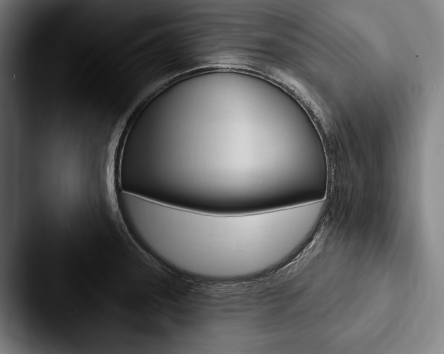 X0000088061331200705110906