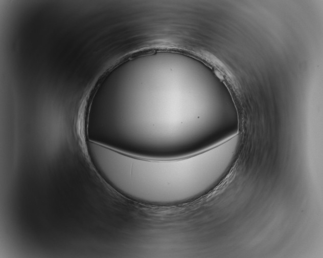 X0000088061334200705110906