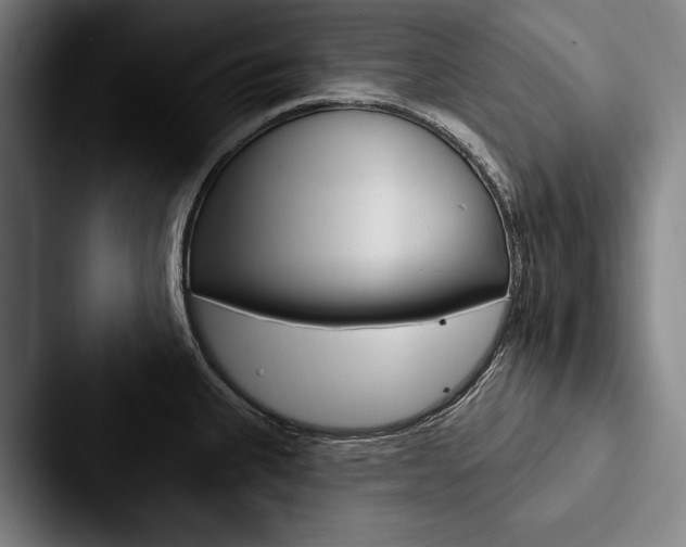 X0000088061335200705110906