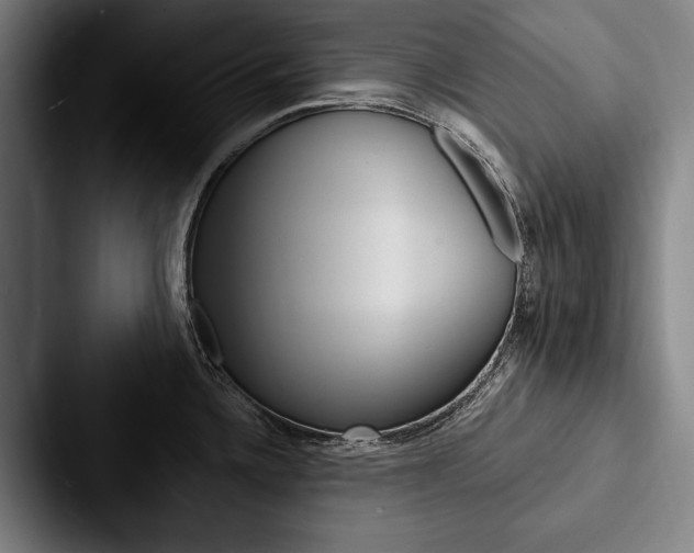 X0000088061336200705110906