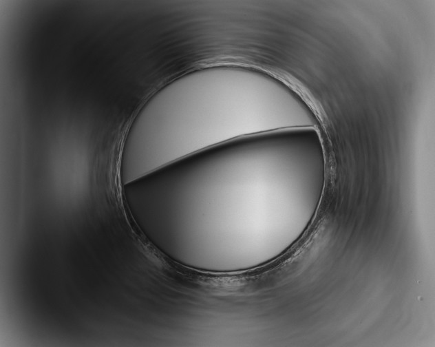 X0000088061337200705110906