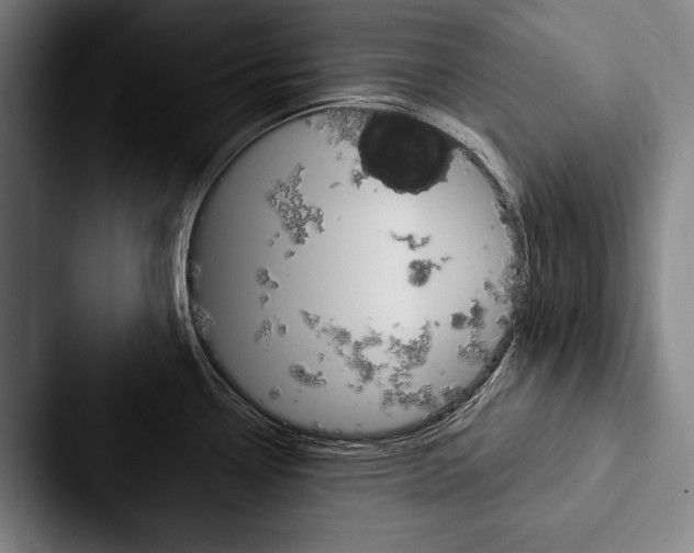 X0000088061338200705110906