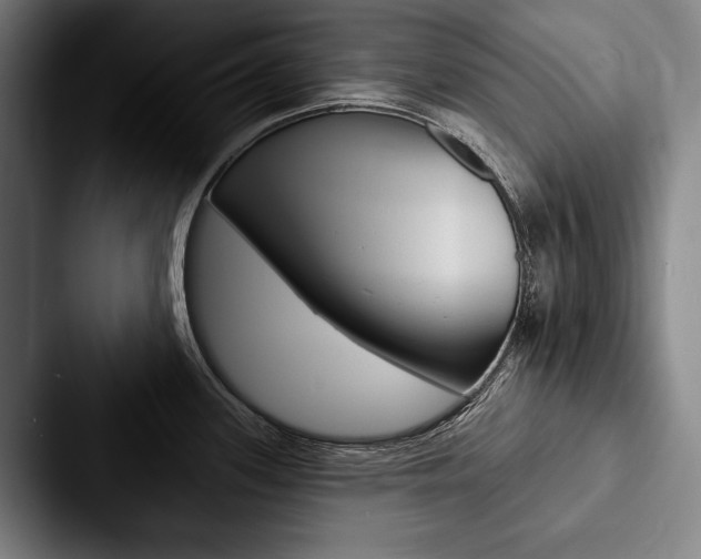 X0000088061339200705110906