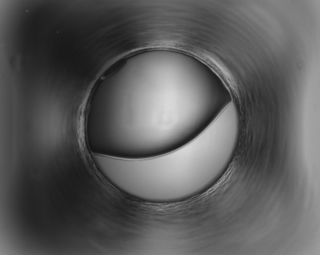 X0000088061340200705110906