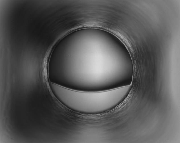X0000088061342200705110906