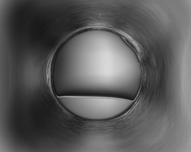 X0000088061343200705110906