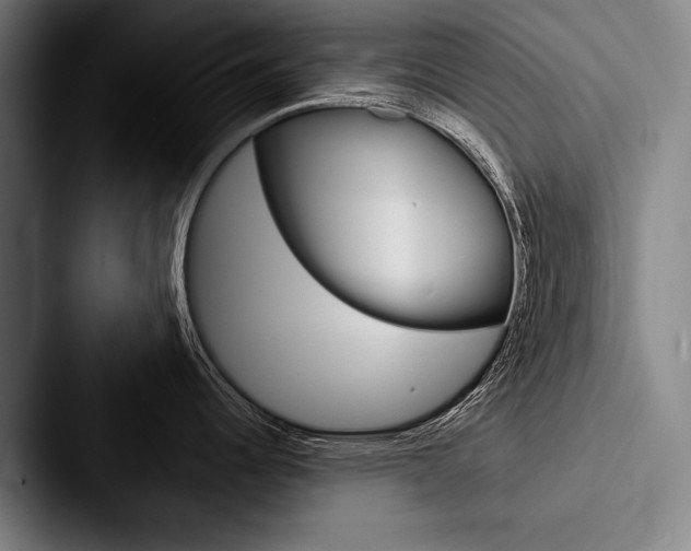X0000088061344200705110906