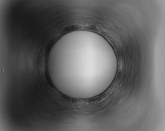X0000088061346200705110905
