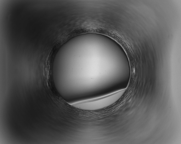 X0000088061348200705110905