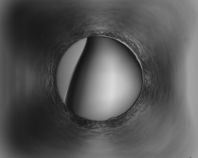 X0000088061349200705110905