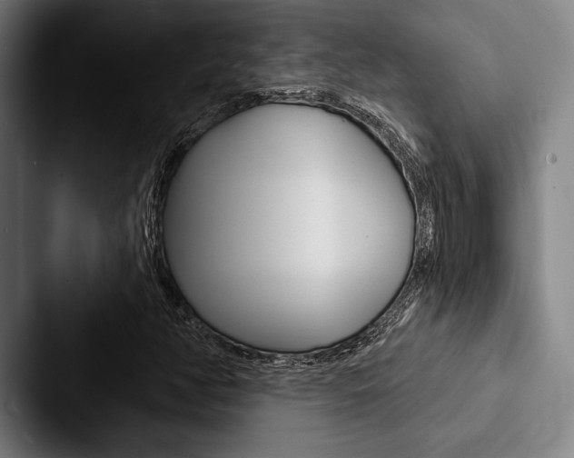 X0000088061350200705110905