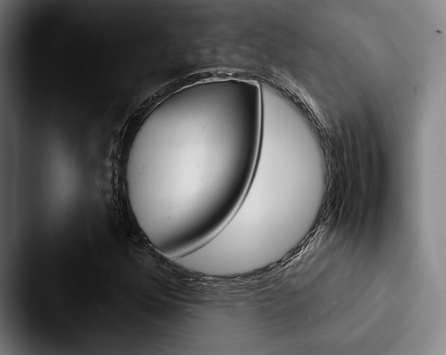 X0000088061352200705110905