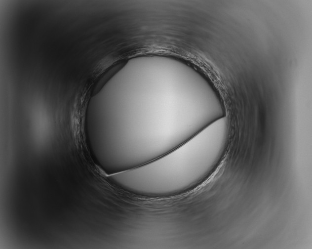 X0000088061353200705110905
