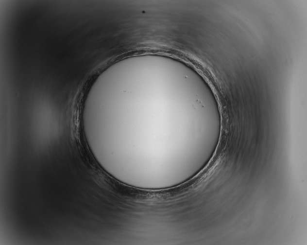 X0000088061355200705110905