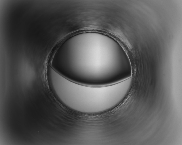 X0000088061356200705110905