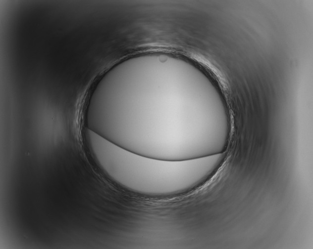 X0000088061357200705110905