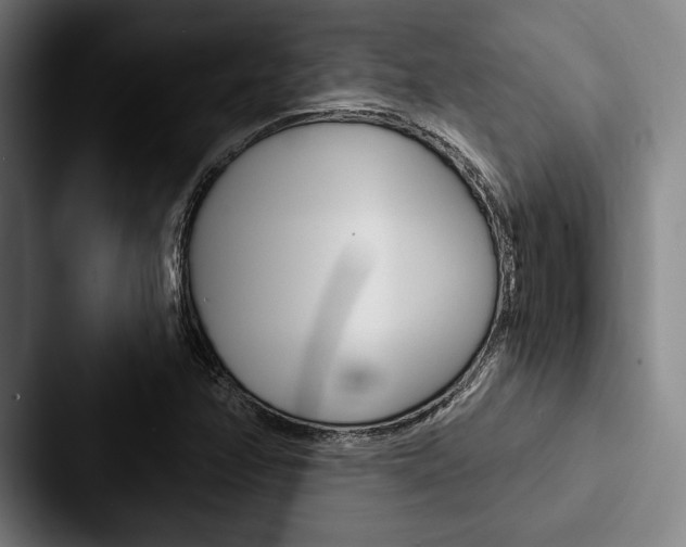 X0000088061358200705110905