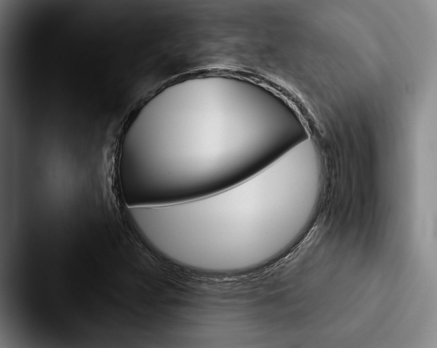 X0000088061359200705110905