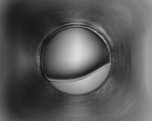 X0000088061360200705110905