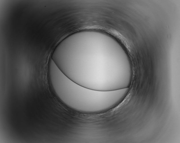 X0000088061361200705110905
