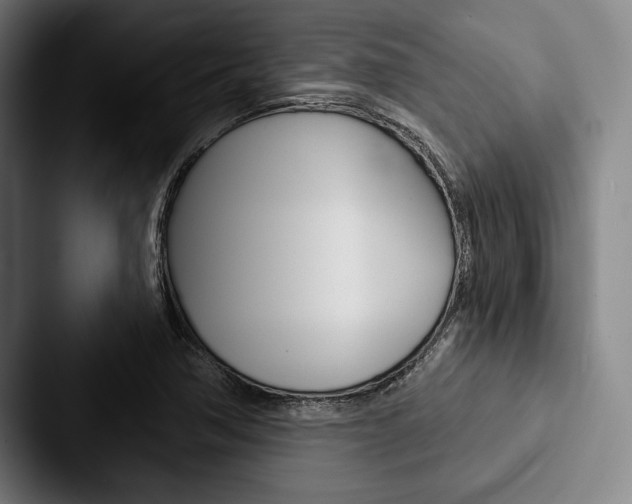 X0000088061362200705110905