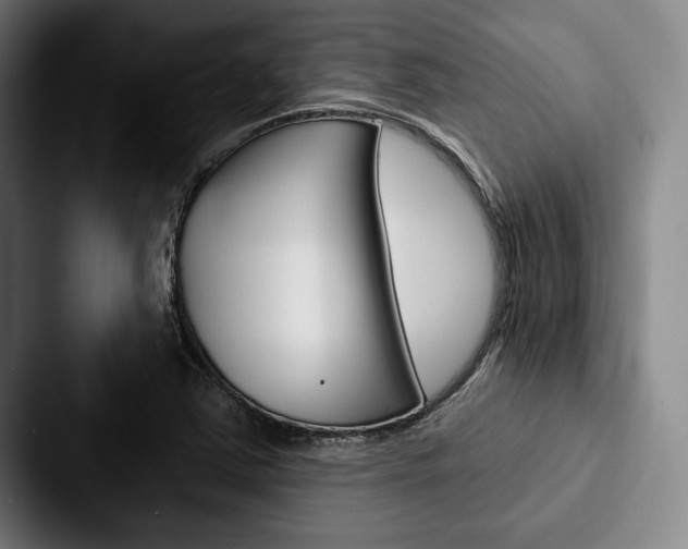 X0000088061363200705110905