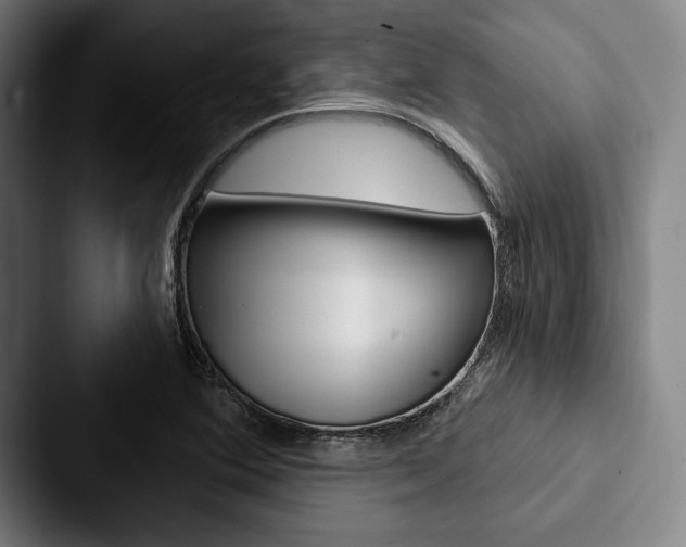 X0000088061364200705110905
