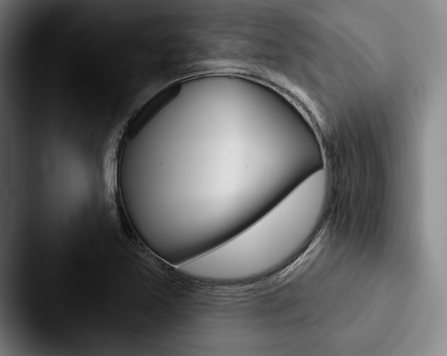 X0000088061365200705110905