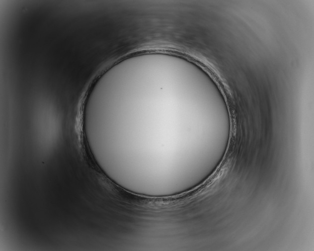 X0000088061366200705110905