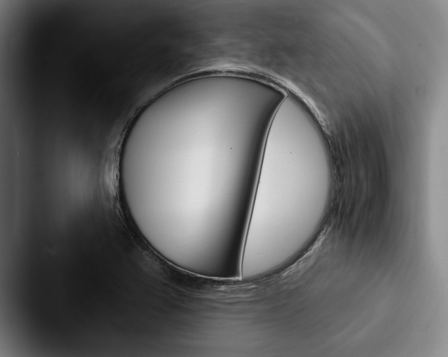 X0000088061367200705110905