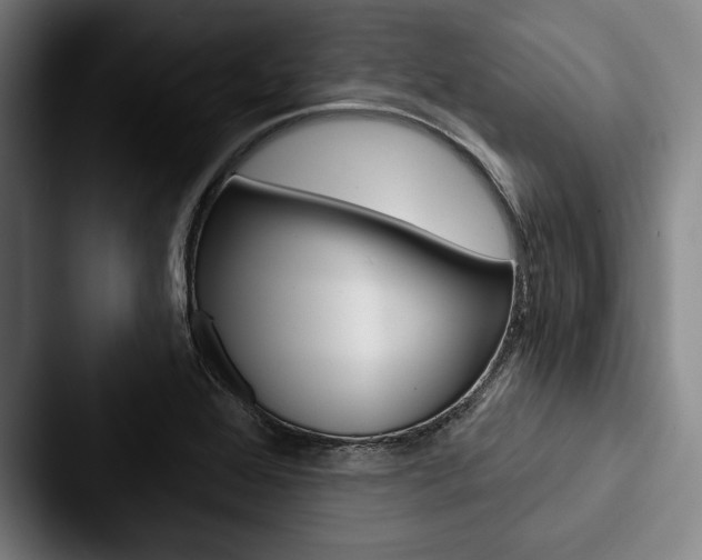 X0000088061368200705110905