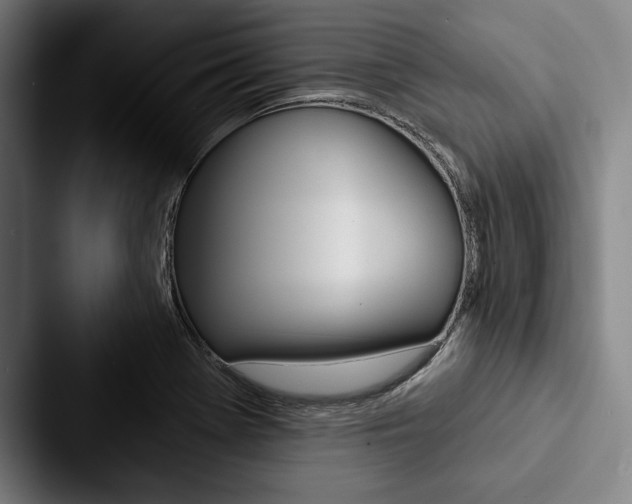 X0000088061369200705110905