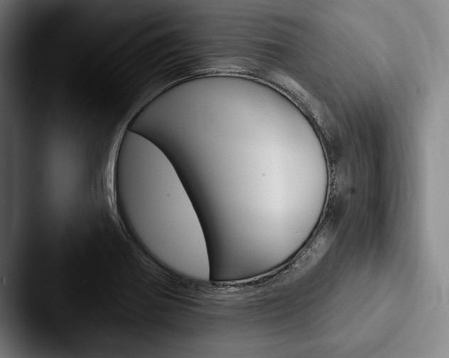 X0000088061370200705110905