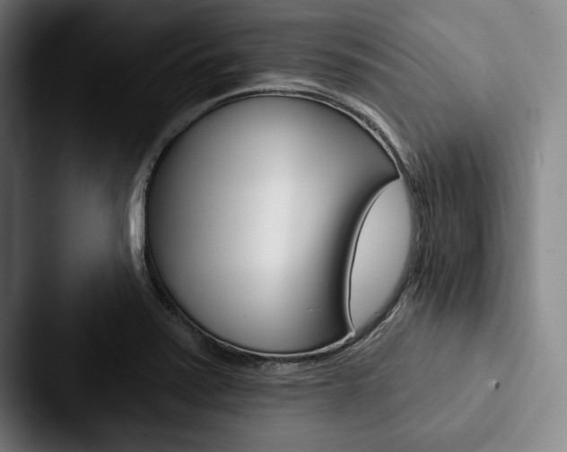 X0000088061371200705110905