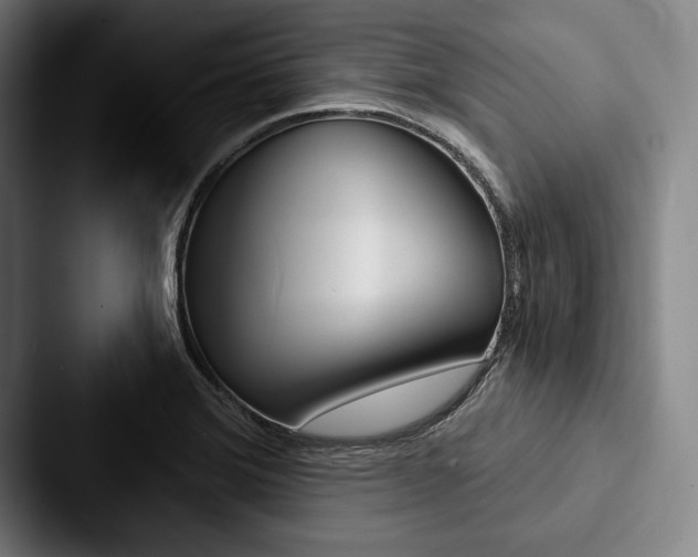 X0000088061372200705110905