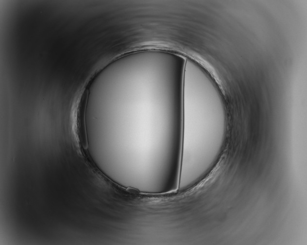 X0000088061373200705110905