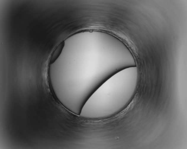X0000088061374200705110905